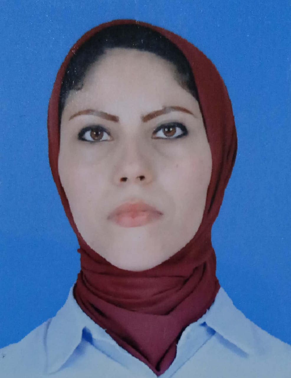 إسلام صالحي